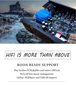 Soundware A1 HIFI streamer&AMP&DAC